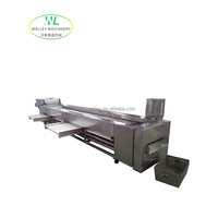 Hete Aanbieding Automatische Groente- en Fruit sorteermachine Rolbaan SUS304 RVS GSJ-5 Model voor Komkommer/Yam/Noot