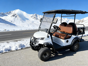 Carrito de Golf Eléctrico Compacto de 4 Plazas, Precios de Mayoreo con Descuento Promocional, Gran Oferta para Uso en Exteriores - Product Image 1