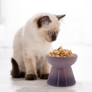 Alimento para gatos con sabor a salmón, OEM ODM alimento para gatos con dieta de prescripción, fábrica de golosinas para mascotas secas a granel - Product Image 6