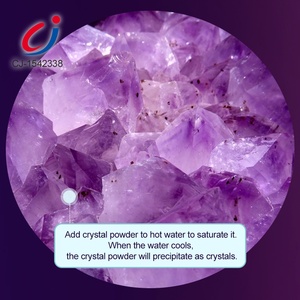 Jouet de plantation en cristal, tige scientifique éducative, bricolage pour enfants, kit scientifique de croissance en cristal, expérience - Product Image 3