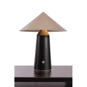 Lampe de table minimaliste moderne, source de lumière LED, commande par interrupteur, pour salon, chambre à coucher, décoration de la maison - Product Image 4