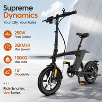 Vélo électrique pliable 250W, vélo de ville 14 pouces en alliage d'aluminium, batterie au lithium amovible 36V, vélo hybride urbain 25 km/h