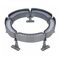 Lumière LED pour arbre, étanche, en forme d'anneau, pour extérieur, 48W 72W, éclairage pour palmier, éclairage paysager LED pour extérieur, éclairage d'arbres