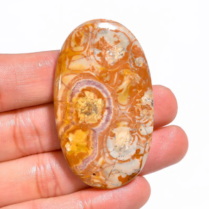 Cabochon de pierres précieuses en jaspe œil d'oiseau mexicain naturel poli et lâche coupe ovale pour la fabrication de bijoux pierre semi-précieuse - Product Image 4