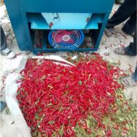 Cueilleur de poivrons et de piments rapide, petite machine agricole pour la cueillette des légumes