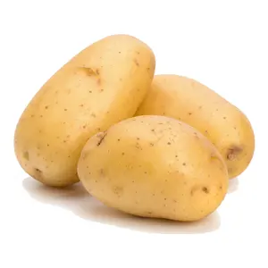 Importadores de patatas frescas a granel en Qatar