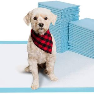 Tapis d'apprentissage jetables super absorbants pour chiots – Produits d'éducation canin – Tapis de propreté pour chiens – Offre spéciale - Product Image 1
