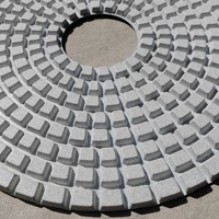 Tampons de polissage en résine à usage humide PMS 300mm pour tampons de polissage en pierre meulage de sol en béton