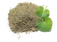 Poudre d'extrait de Brahmi 100% pure, naturelle et standardisée, Bacopa Monnieri, qualité supérieure, mouture fine, vente en gros