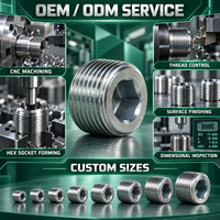 Bouchon de tuyau hexagonal sur mesure à filetage mâle pour ports hydrauliques et pneumatiques, personnalisable OEM