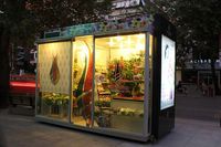 Exhibidores de Flores de Lujo para Diseño de Kioscos en Centros Comerciales, con Luz LED, Tratamiento de Superficie con Barniz, Elegantes para Floristerías