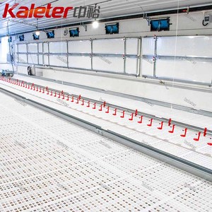 Rejilla de Plástico para Pisos de Gallineros, para Cría de Gallinas Ponedoras y Pollos de Engorde, Rejilla Elevada para Aves de Corral - Product Image 3