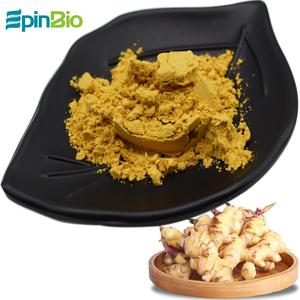 Bán buôn Chất lượng cao chiết xuất gừng 20% <span class=keywords><strong>hplc</strong></span> gingerols bột - Product Image 6