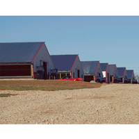IBeehive Structure en acier industrielle clé en main pour ferme avicole de 2000 poulets, avec panneaux sandwich préfabriqués, étanche