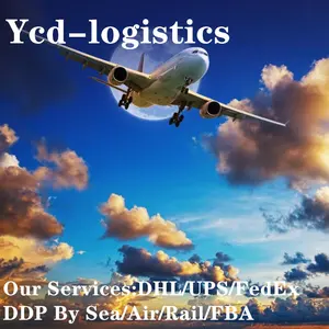 Dedektör Shenzhen küresel navlun yönlendirme için en ucuz DDP hava taşımacılığı DHL ekspres kapı avusturya FBA depo
