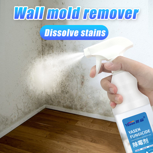 Nhà Máy Giá Acrylic Lớp Phủ Chất Lỏng Nhà Làm Sạch Đại Lý Khuôn Và Nấm Mốc Loại Bỏ Phun Rửa & Sơn Sản Phẩm - Product Image 4