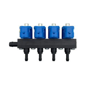 Repuestos para automóviles Blue Coil 4 Cyl <span class=keywords><strong>Glp</strong></span> Cng Lpg Gas Common Injector Rail para sistema de conversión - Product Image 1