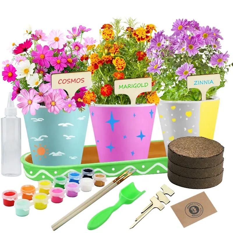 Kit de peinture et de plantes pour enfants, outils de jardinage en fleurs, 12 peintures, planteuses, jardin magique, tige, artisanat, cadeaux