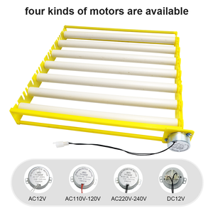 Vente flash : incubateur à <span class=keywords><strong>œufs</strong></span> de 42 <span class=keywords><strong>œufs</strong></span> avec plateau à <span class=keywords><strong>œufs</strong></span> rotatif à vendre - Product Image 3