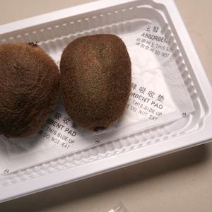 Tampons absorbants personnalisés, écologiques, de qualité alimentaire, super absorbants, anti-fuites, absorbant l'humidité pour les fruits frais, les légumes, le poisson, la viande et les aliments - Product Image 6