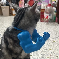 Bras géant vert imprimé en 3D créatif Style dessin animé écologique Spoof Pet Prop pour chiens Cross-Border Hanging Neck Hulk Arm
