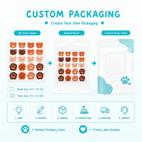 Patchs Hydrocolloïdes Personnalisés OEM ODM en Forme de Patte d'Ours Kawaii pour l'Acné, Vente en Gros pour les Marques de Beauté