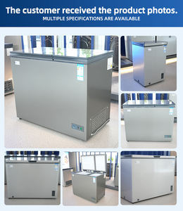 Congélateur coffre de présentation en gros, de haute qualité, à porte unique, compact, pour usage domestique, fabriqué en Chine - Product Image 5