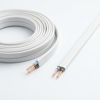 BVVB Doppeladerkabel 2 AWG 300V Flachkupferleiter PVC-Isoliert PVC-Ummantelung Elektrokabel IEC Hausinstallationskabel für den Haushalt