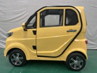 Voiture électrique compacte L6e EEC pour usage familial, véhicule à faible vitesse, nouvelle énergie, mini-voiture 3 places automatique, couleur unie.