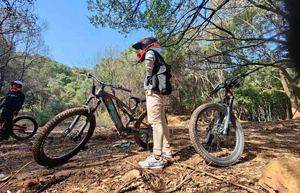 2021 Bán Buôn Điện Lớn Leo Núi Xe Đạp Điện 48V 500W 350W 250W 26 "Đầy Đủ Hệ Thống Treo Điện Leo Núi Xe Đạp E Xe Đạp - Product Image 6