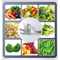 Déshydrateur de fruits et légumes machine