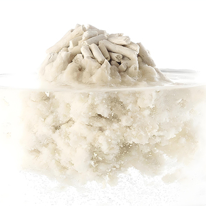 Personalización Amarillo Agrupación rápida Natural Ecolief 6l Fragancia de maíz Arena para gatos - Product Image 3