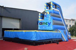 ปราสาทเป่าลมพร้อมแพลตฟอร์มสำหรับสนามเด็กเล่น<span class=keywords><strong>หอ</strong></span>คอยแบบสไลด์ถุงลมนิรภัยขนาด<span class=keywords><strong>ใหญ่</strong></span>สำหรับกระโดด - Product Image 3