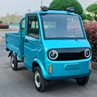 Camion pick-up électrique à longue endurance pour véhicule chinois New Energy avec batterie 60v Buggy de transport à faible coût