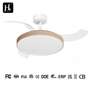 Lampe suspendue LED 42 en forme de toile de chanvre, invisible, sans pales, télécommandée, en forme de vigne, 110-220V, pour décoration intérieure et chambre à coucher - Product Image 4