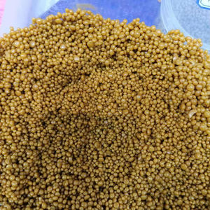 479-66-3 C14H12O8 acide fulvique aquatique nordique Elliott sol acide fulvique <span class=keywords><strong>engrais</strong></span> organique 50% acide fulvique de source de léonardite - Product Image 1