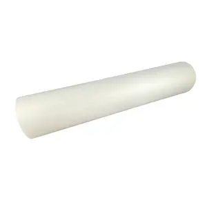 White Ink Printing 30CM Roll 60 CM Printed 60CM Glossy Instant Hot Peel DTF Film