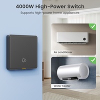 WiFi Zigbee RF Pemanas Air AC Tombol Dinding Sakelar Pintar Remote Control Graffiti Timer EU UK US untuk Alexa