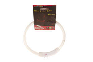 Moda varios colores luz intermitente USB recargable luminosa noche seguridad brillante paseo perro LED gato mascota pérdida prevenir collar - Product Image 3