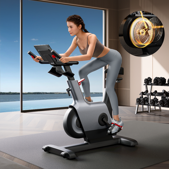 YPOO New Professional Home Exercise Smart Magnetic Spin Bike F2 Fitness Indoor Spinning Cycling Bike with YPOOFIT APP