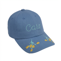Casquette de baseball unisexe ajustable, style vintage, bleu clair, 6 panneaux, broderie florale 3D, mode décontractée