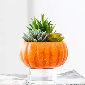 Best sale Mini Artificial plants succulent plants potted artificial tropical plants in pumpkin pot