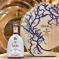 Bouteille de tequila en céramique XO 500ml luxueusement fabriquée à la main Hisky et brandy personnalisés avec joint en liège pour une utilisation en laboratoire