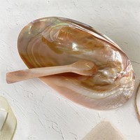 Assiette décorée de coquillages et de coquilles Saint-Jacques, plat à fruits, plat à sauce soja, plat à condiments pour hôtels et restaurants, vente en gros