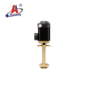 ปั๊มน้ำอุปกรณ์ต่อพ่วงคานแนวตั้งน้ำมันน้ำร้อนสูง - Product Image 2