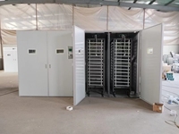 Incubateur d'œufs pour pigeon, oie, poulet, caille, canard - Machine à couver les œufs à vendre
