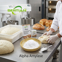 Poudre d'enzyme alpha-amylase de qualité alimentaire CAS 9000-90-2, haute activité, pour la transformation de l'amidon, la pâtisserie et la brasserie