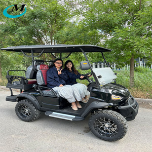 Voiture de golf à essence à bas <span class=keywords><strong>prix</strong></span> à vendre, 2, <span class=keywords><strong>4</strong></span>, 6, 8 places, voiture de golf tout-terrain pour le tourisme en club, 8 places - Product Image 4