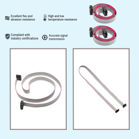 Kabel IDC Kustom 2.54 MM Kabel Pita Datar IDC 10PIN Tembaga Murni Kabel Harness Kustom