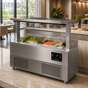 Vetrina Refrigerata in Acciaio Inox con Vasca Refrigerante e Controllo Digitale per Mantenere Freschi Frutti di Mare e Insalate - Product Image 3